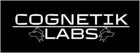 cognetik-logo